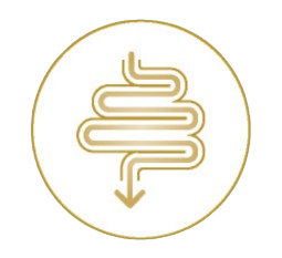軟化大便1，有效改善偶發性便秘1,2