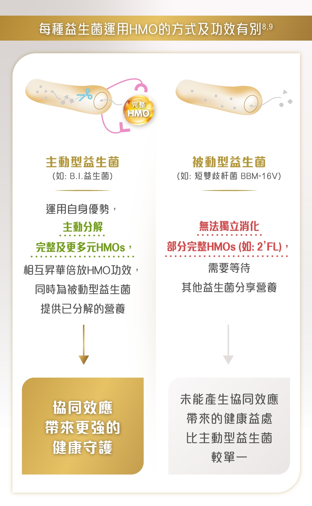 升級雀巢能恩全護INFNIPRO配方奶粉運用主動益生菌,倍放HMO功效