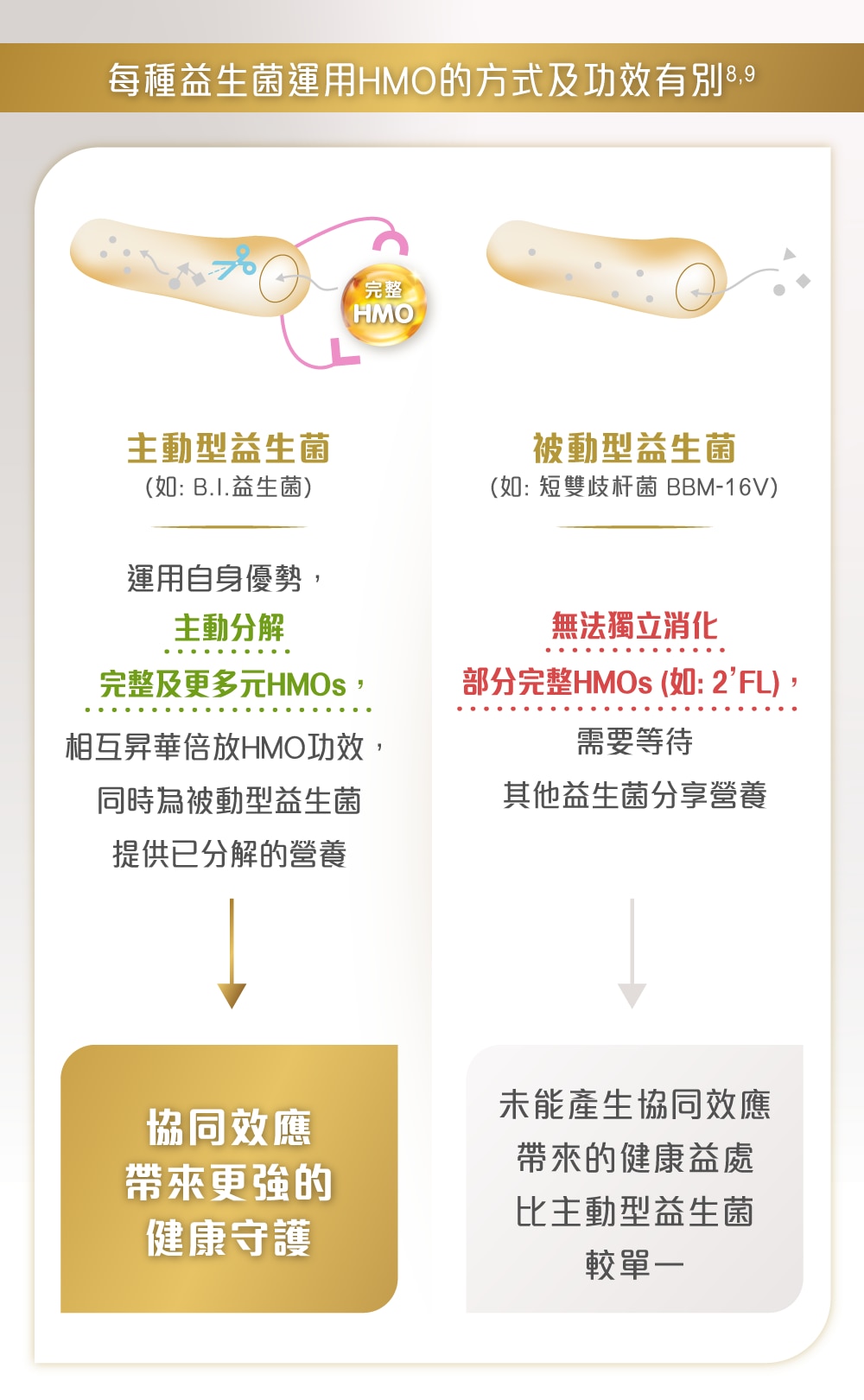 升級雀巢能恩全護INFNIPRO配方奶粉運用主動益生菌，倍放HMO功效