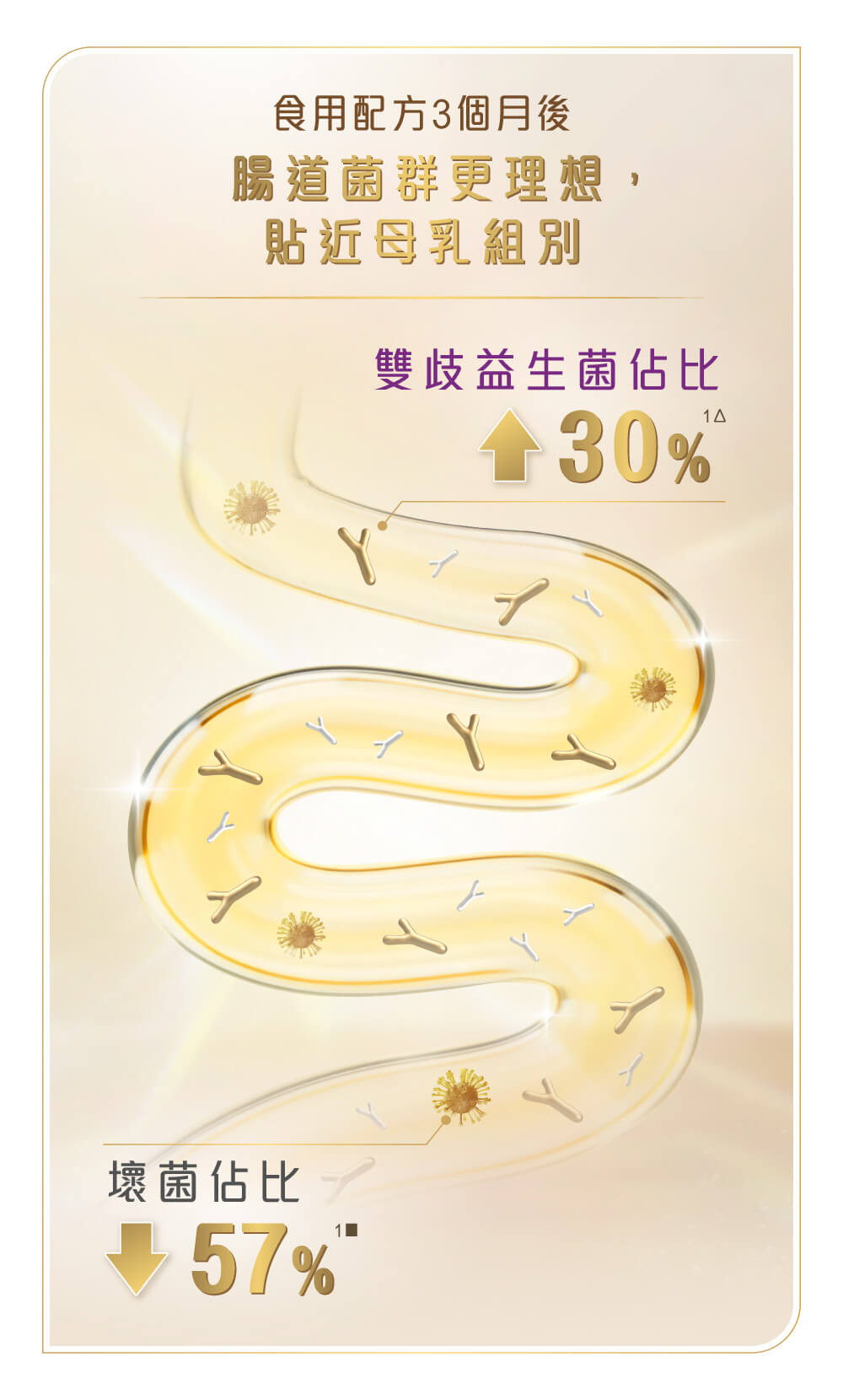 科研實證，「免疫加乘组合」可增加寶寶雙歧益菌佔比30%及減少壞菌佔比57%，令腸道菌群貼近理想水平，更貼近母乳組別。