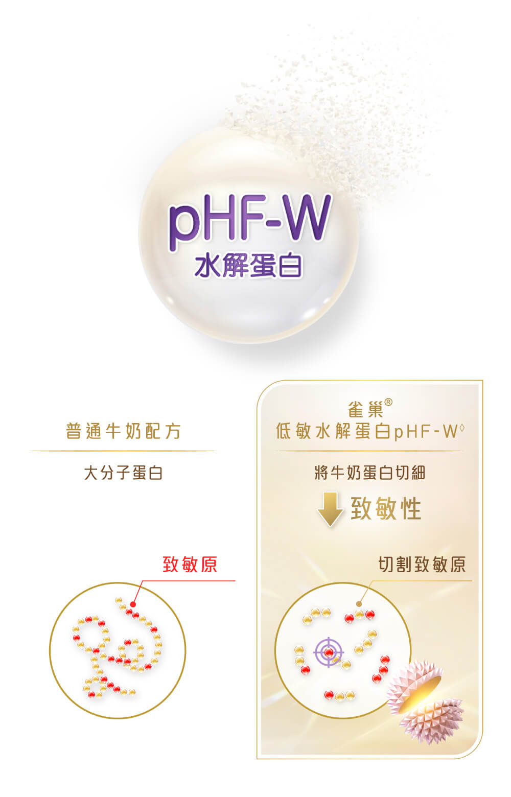 雀巢®能恩全護®INFINIPRO®配方奶粉內的低敏水解蛋白pHF-W 經雀巢®獨特水解技術將牛奶蛋白切細，精準切割致敏原，降低致敏性